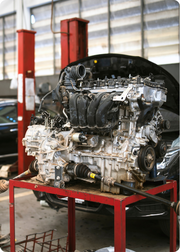 ¿Por qué elegir Automotor Cañada?